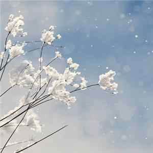 Nikosf. - Silence Speaks When The Words End FLAC