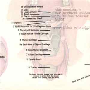 The American W - For Prepared Guitar FLAC