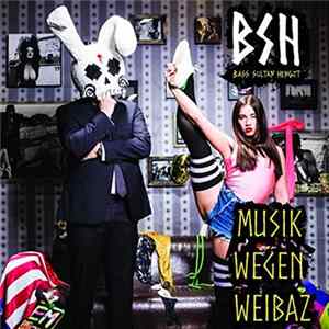 Bass Sultan Hengzt - Musik Wegen Weibaz FLAC