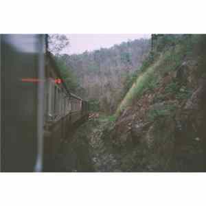 Albino Deers / Neu Orpheus - バランス FLAC