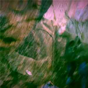 Owlbinos of Northfield - Cinnamon Fog FLAC