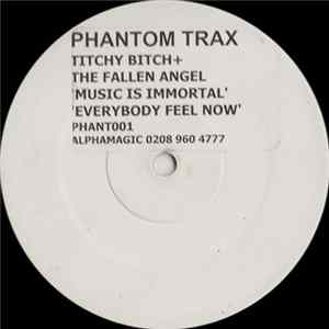 Titchy Bitch + The Fallen Angel - Music Is Immortal / Everybody Feel Now FLAC