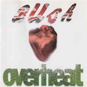 Bush - Overheat FLAC
