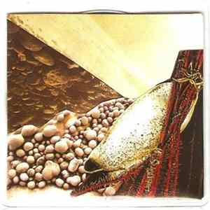 Mitchell Turner - Célestes Rivages FLAC