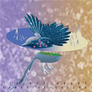 Hamacide + ChaCha - Thirty Hours FLAC