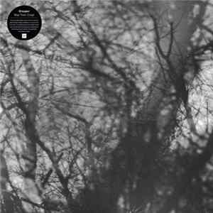 Grouper - Way Their Crept FLAC