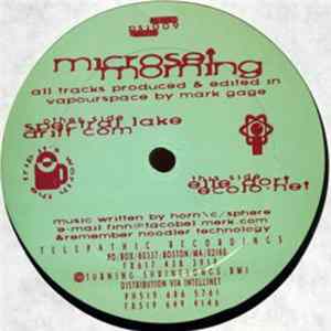 Microset Morning - Microset Morning FLAC