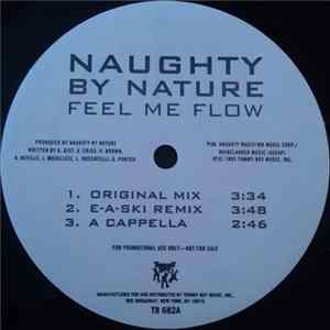 Naughty By Nature - Feel Me Flow / Hang Out And Hustle FLAC