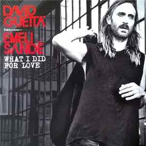David Guetta Feat. Emeli Sandé - What I Did For Love FLAC