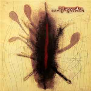 David Sylvian - I Surrender FLAC