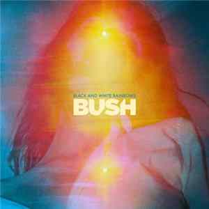 Bush - Black And White Rainbows FLAC