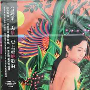 許景淳 - 天頂的月娘啊 FLAC