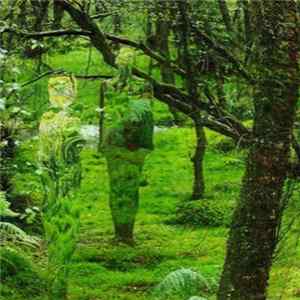Ｅｌｅｃｔｒｉｃ Ｄｒｅａｍｓ - Pathless Woods FLAC