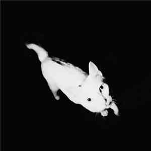Yolanda - What Vision FLAC
