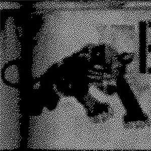 Russell Haswell - PANTHER nO!se FLAC