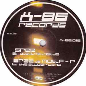 Sree - Viewing Inside / The Silver Land FLAC