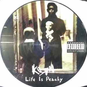 Korn - Life Is Peachy FLAC