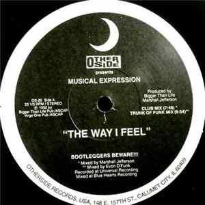 Musical Expression - The Way I Feel FLAC