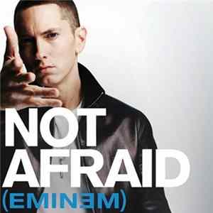 Eminem - Not Afraid FLAC