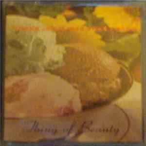 Volcano Suns - Thing Of Beauty FLAC