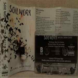 Soilwork - Natural Born Chaos FLAC