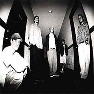 Focused - 2000 FLAC
