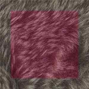 Tera Melos - Echo On The Hills Of Knebworth FLAC