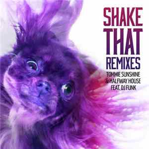 Tommie Sunshine & Halfway House Feat. DJ Funk - Shake That Remixes FLAC