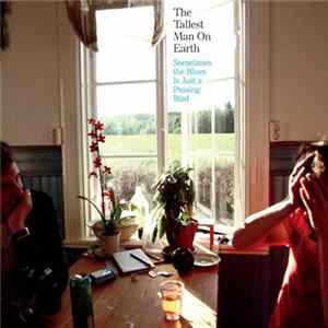 The Tallest Man On Earth - Sometimes The Blues Is Just A Passing Bird FLAC