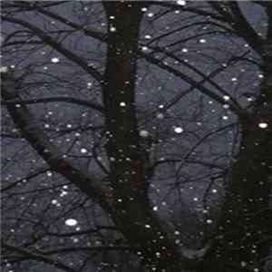 Infirmary - Black Hole Reflection FLAC
