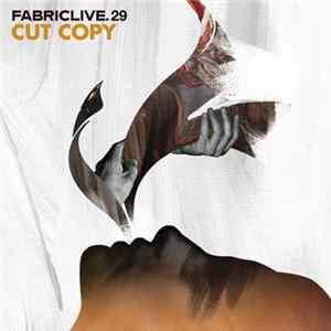 Cut Copy - FabricLive.29 FLAC
