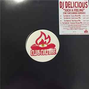 DJ Delicious - Such A Feeling (The Turtlebirds Remixes) FLAC