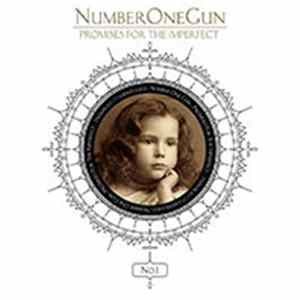 Number One Gun - Promises For The Imperfect FLAC