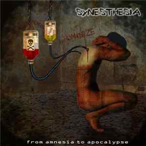 Synesthesia - From Amnesia to Apocalypse FLAC