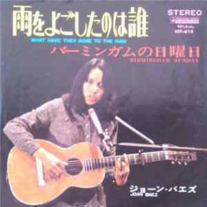Joan Baez - What Have They Done To The Rain FLAC