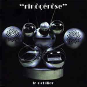Rinôçérôse - Le Mobilier FLAC