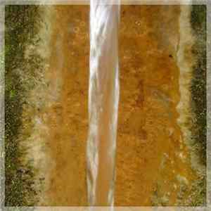 Various - Tao FLAC