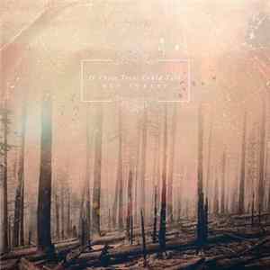 If These Trees Could Talk - Red Forest FLAC