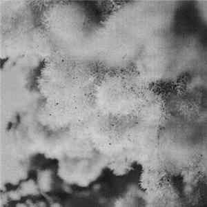 Window Magic - Circular FLAC