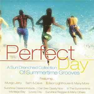 Various - Perfect Day FLAC