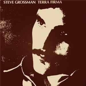 Steve Grossman - Terra Firma FLAC