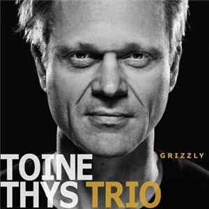 Toine Thys Trio - Grizzly FLAC