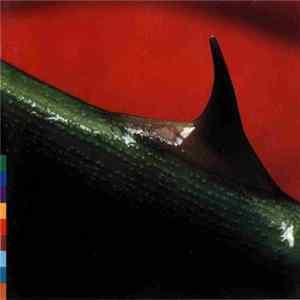 Nusrat Fateh Ali Khan & Michael Brook - Night Song FLAC