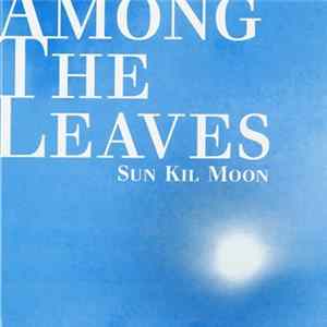 Sun Kil Moon - Among The Leaves FLAC