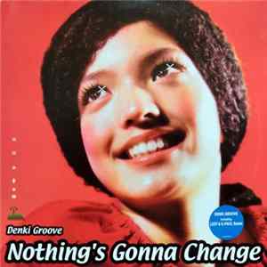 Denki Groove - Nothing's Gonna Change FLAC