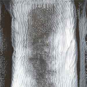 w i i & Tim Six - Ice & Fog FLAC