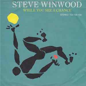 Steve Winwood - While You See A Chance FLAC