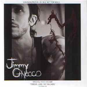 Jimmy Gnecco - Bring You Home FLAC