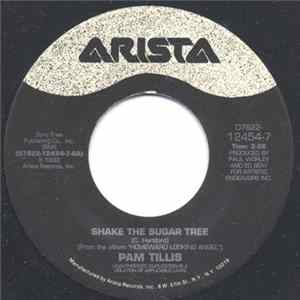 Pam Tillis - Shake The Sugar Tree / Maybe It Was Memphis FLAC