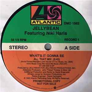 Jellybean - What's It Gonna Be FLAC